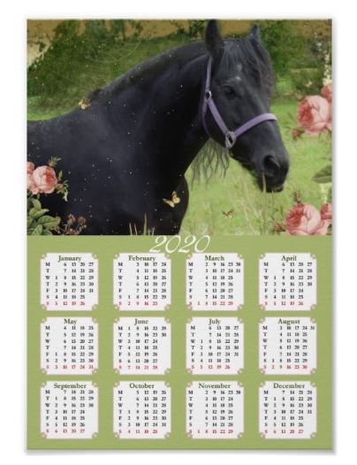 Kalender selber drucken, download, 2020, Tiere, Pferd, Rosen, Blumen, 